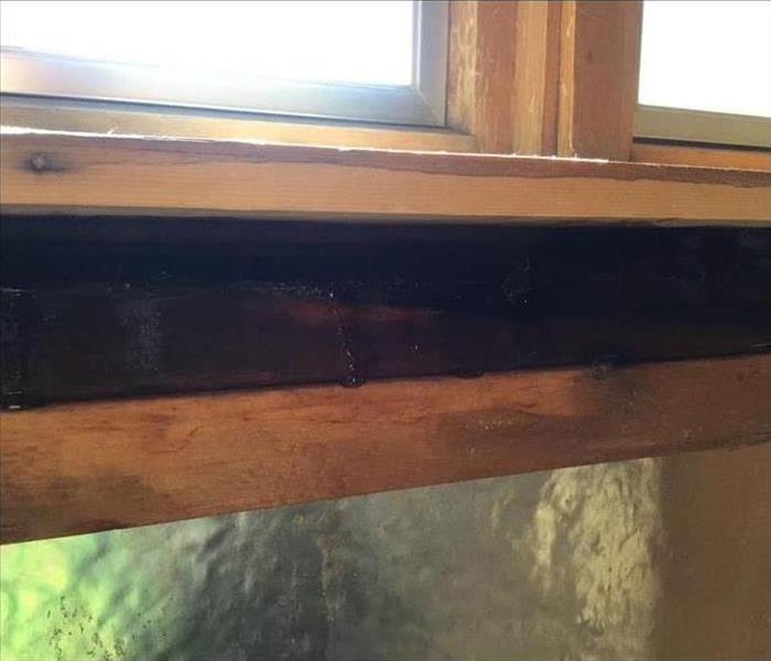 A window sil that has Mold And moisture from a storm 