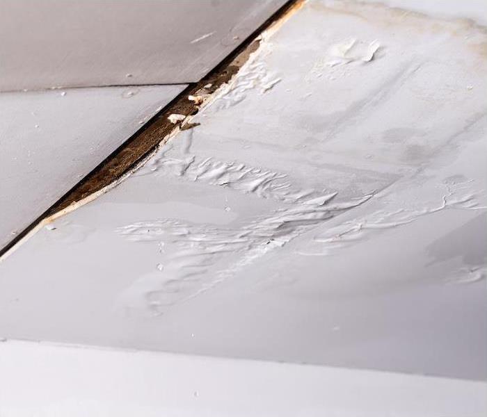 < img src =”tree.jpg” alt = "roof white leaking from water damage " >